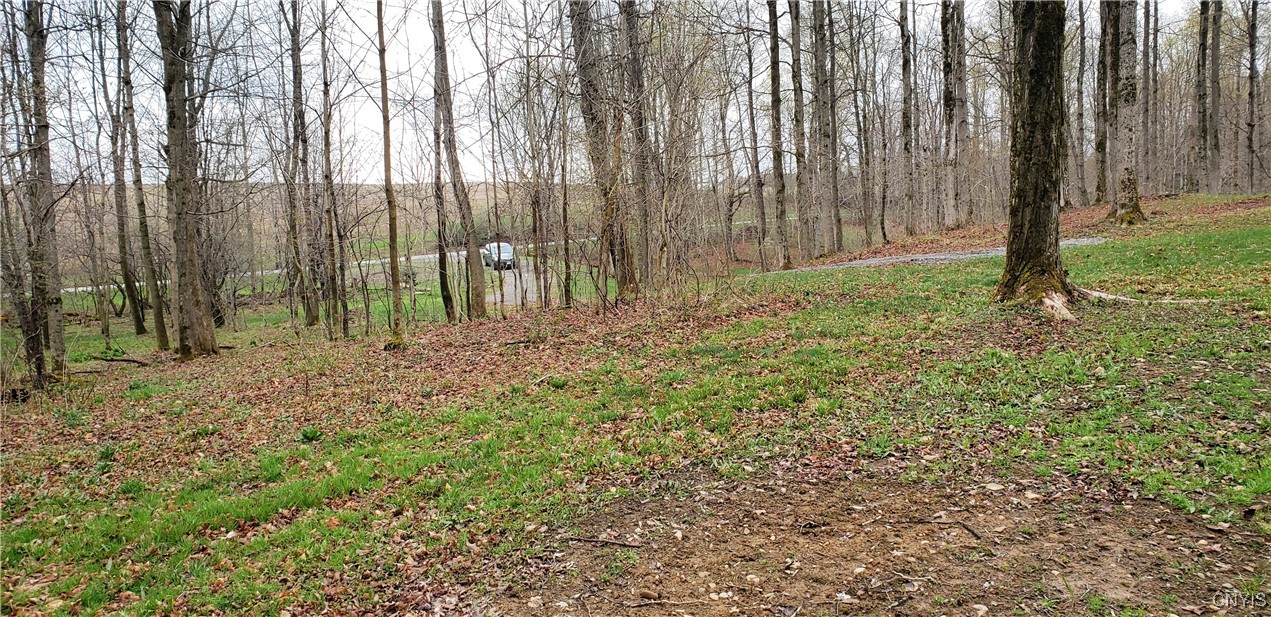 2465 Pleasant Road, Eaton, New York image 7
