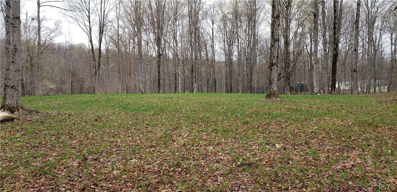 2465 Pleasant Road, Eaton, New York image 4