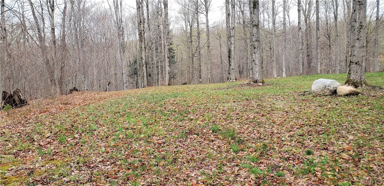 2465 Pleasant Road, Eaton, New York image 10