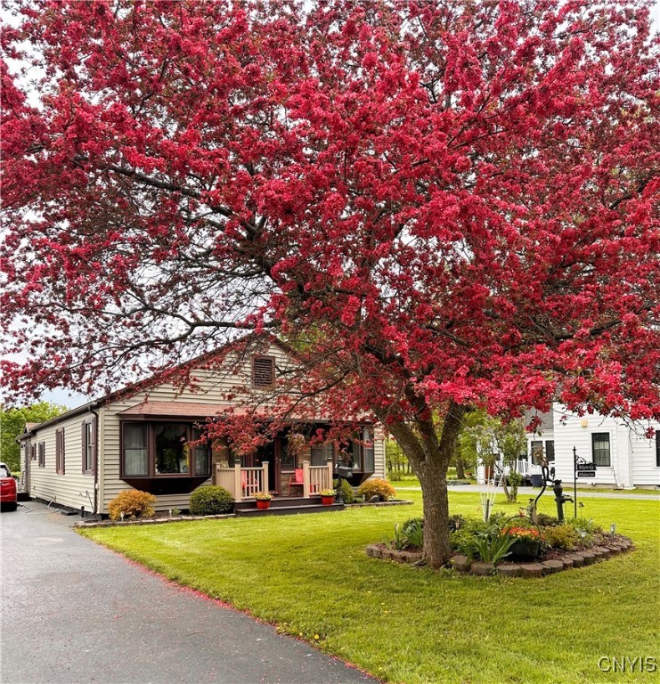 80 Madison Street, Hamilton, New York image 2