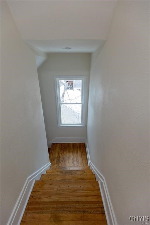 263 Fellows Avenue, Syracuse, New York image 14