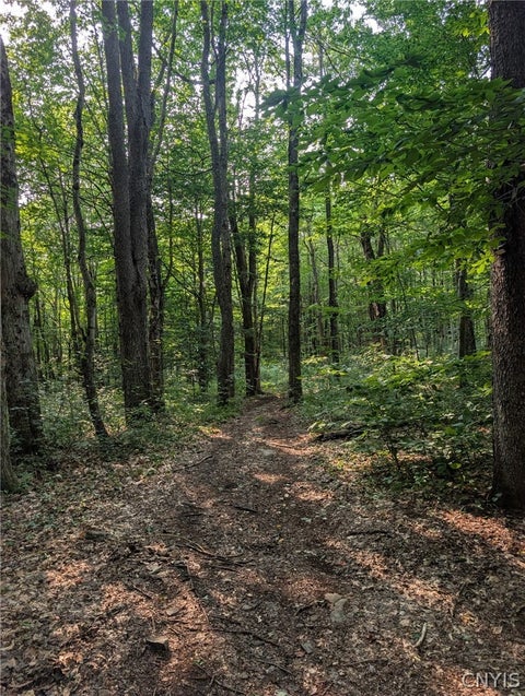 Tiny photo for 33 Pennock Creek Drive, Orwell, NY 13144 (MLS # S1708467)