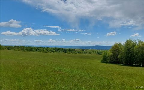 2007 Dairy Hill Road Newport NY 13416