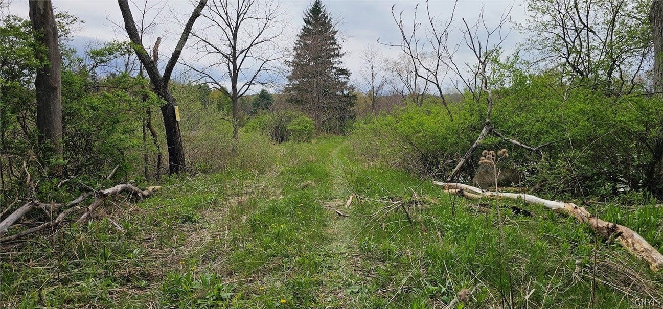 Hancock Drive