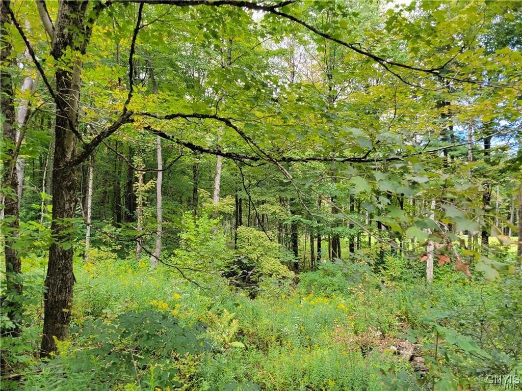 00 Dustin Road, Remsen, New York image 2
