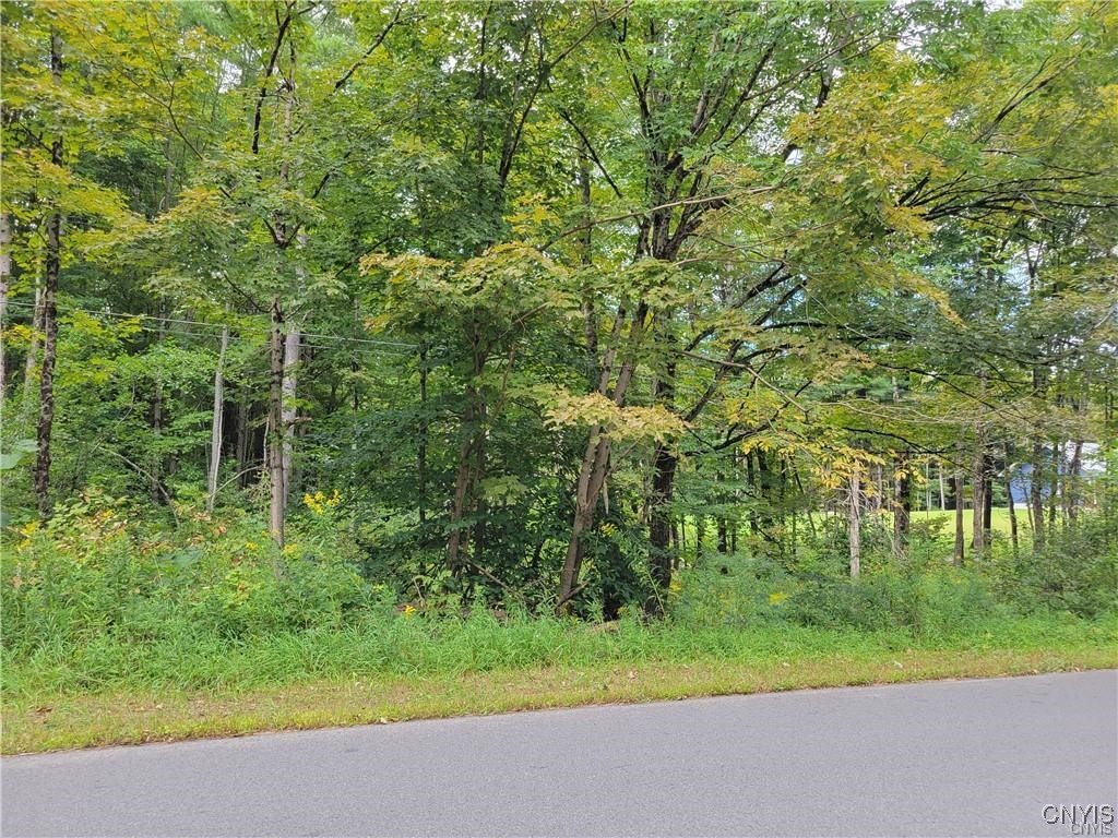 00 Dustin Road, Remsen, New York image 5