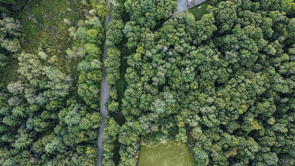 00 Dustin Road, Remsen, New York image 4