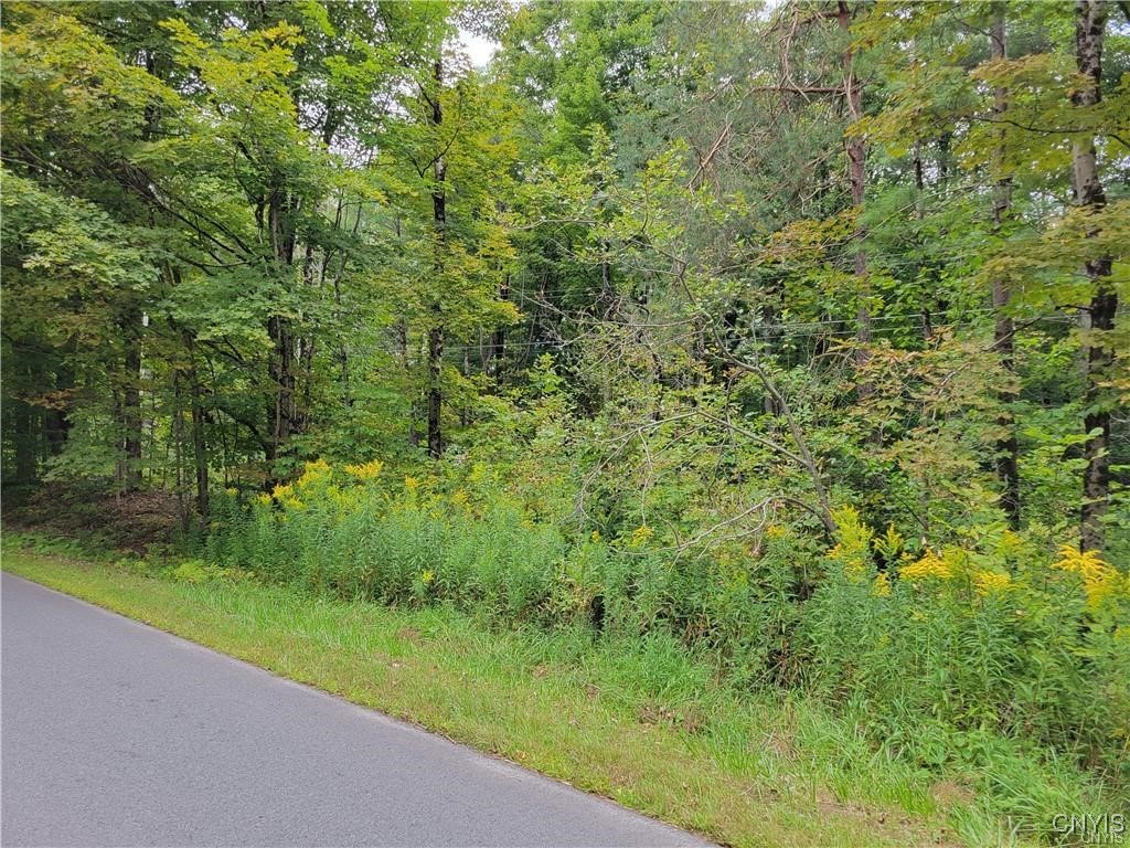 00 Dustin Road, Remsen, New York image 6