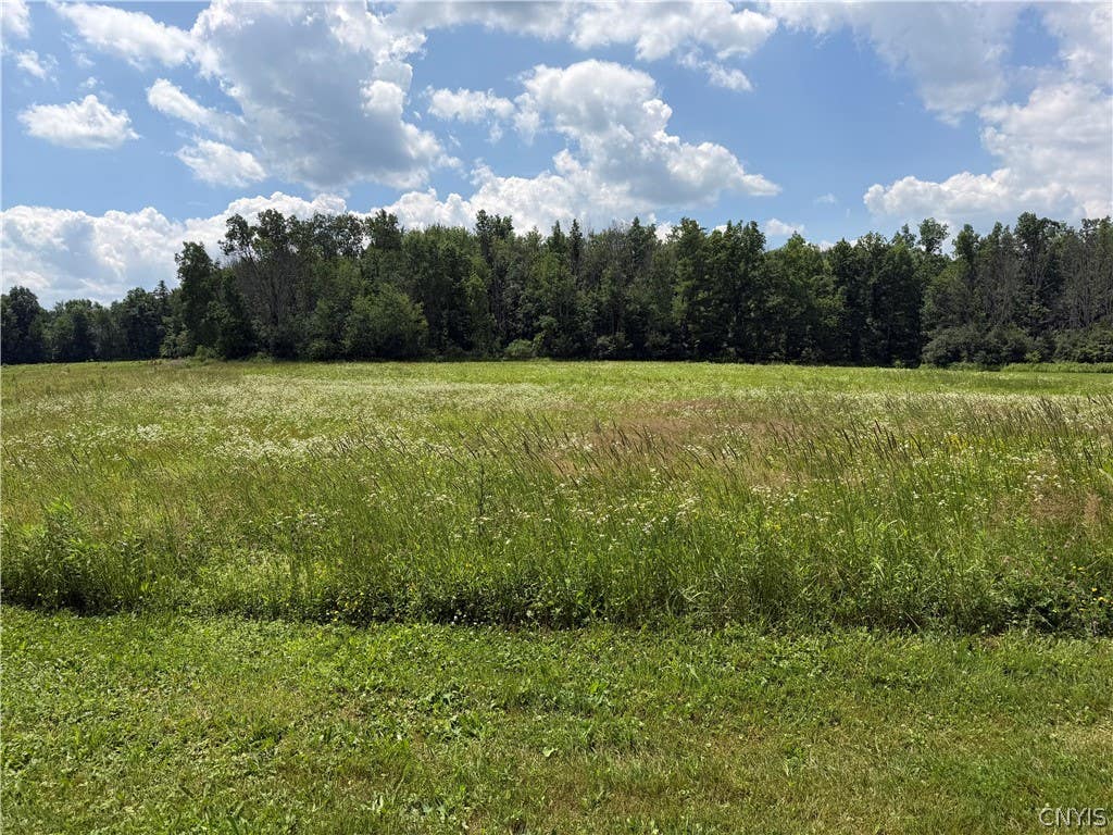 Photo of Cr-17, Belfast, NY 14711 (MLS # S1699238)
