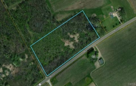 Vacant Land For Sale - 9679 E Main Road<br/> Ripley, NY 14775