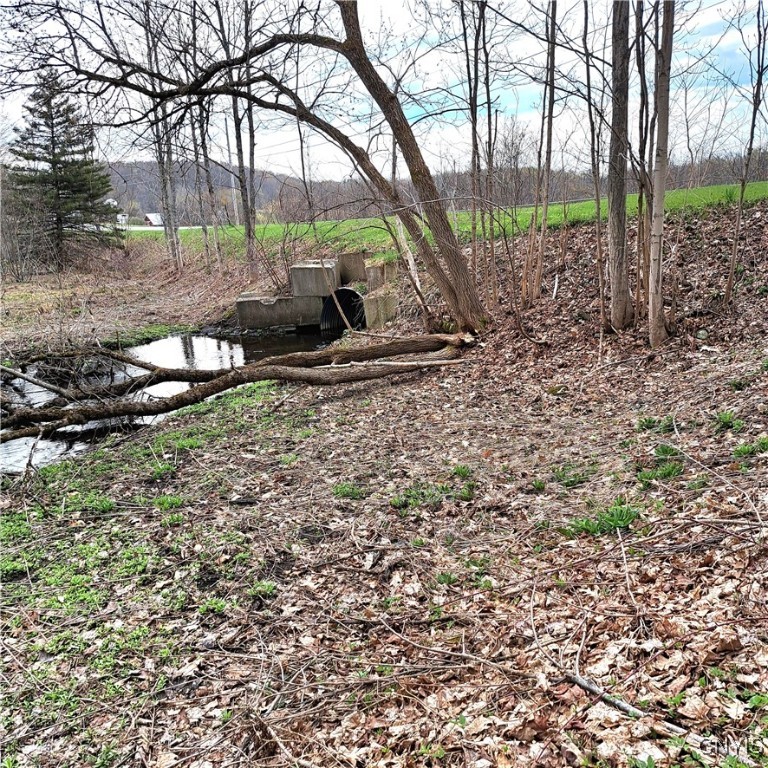 2475 Waldron Road, Camden, New York image 5