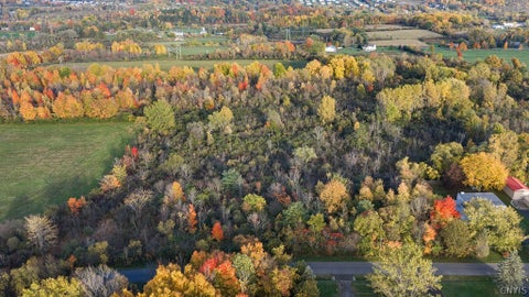 Photo for Allen Road