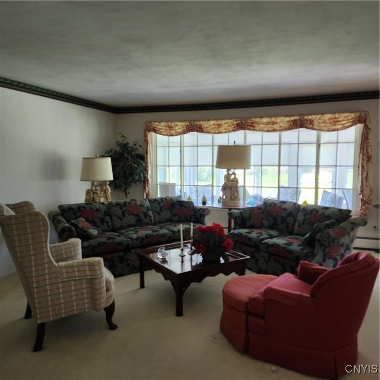 5448 State Route 281, Homer, New York image 12