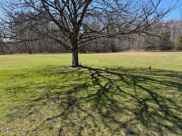 4903 Fox Road, Verona, New York image 8