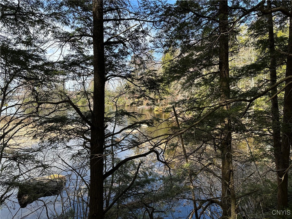 E Shore Rd, Stratford, New York image 18