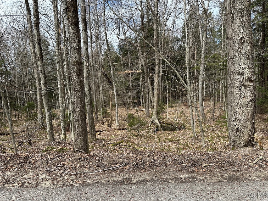 E Shore Rd, Stratford, New York image 9