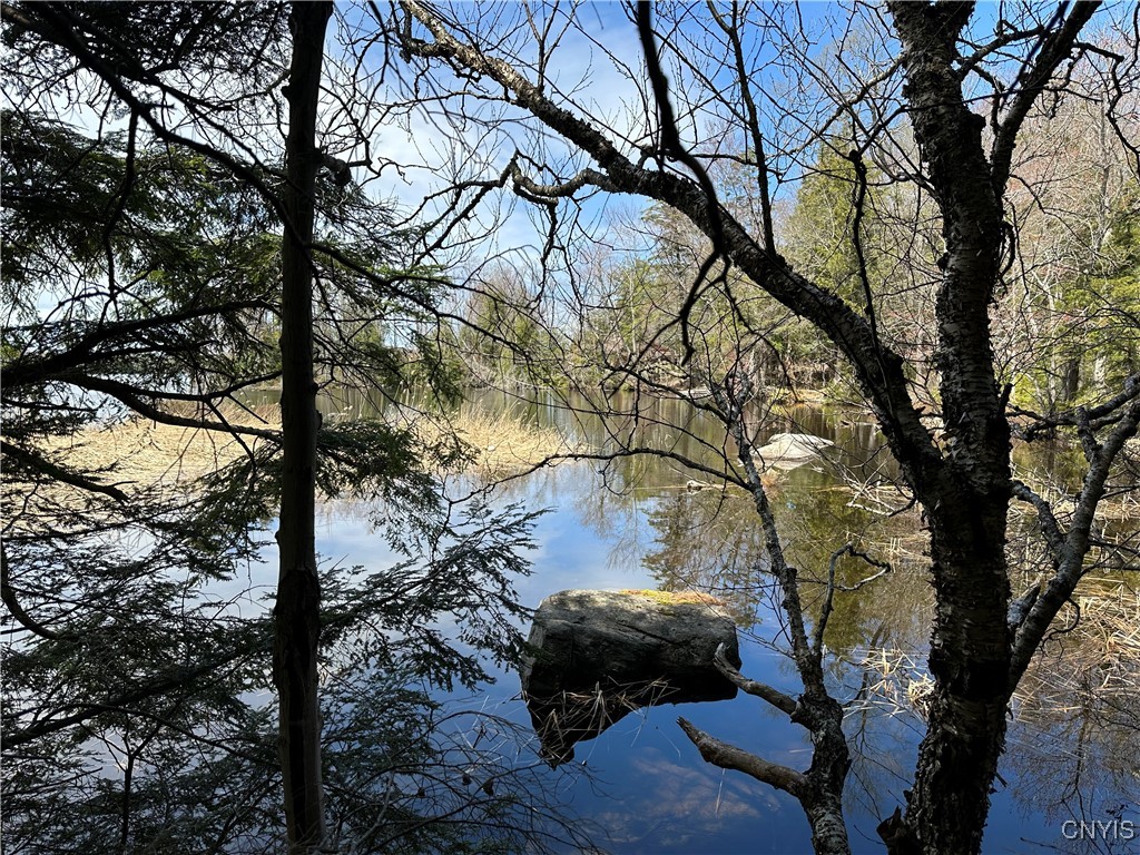 E Shore Rd, Stratford, New York image 22