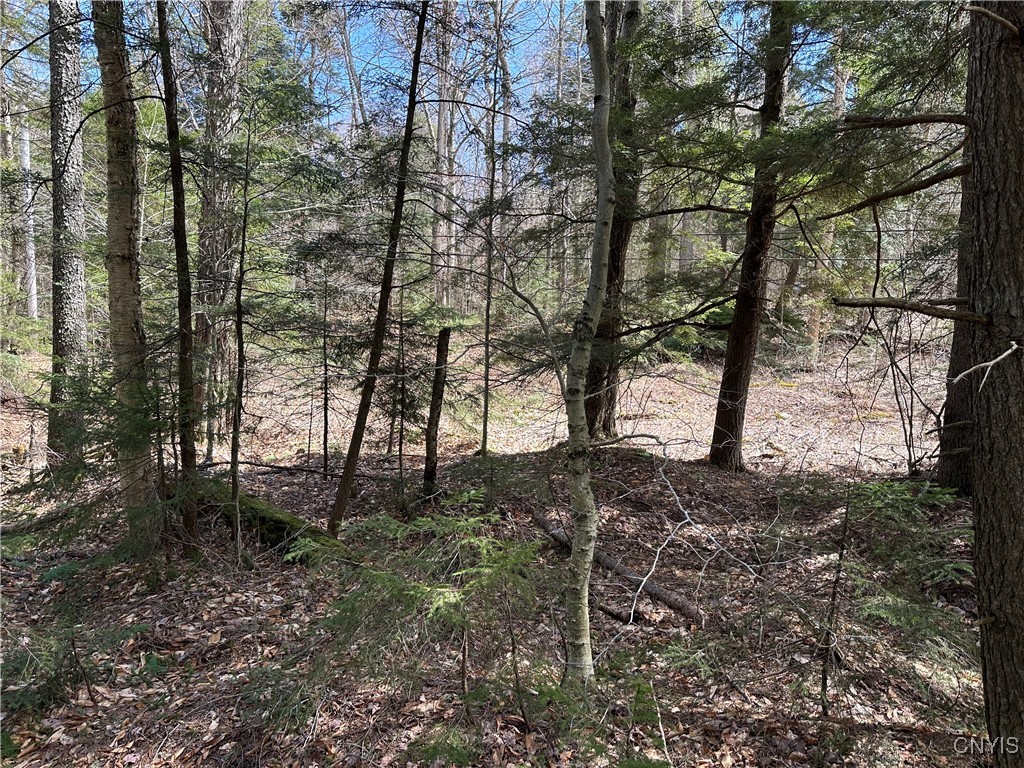 E Shore Rd, Stratford, New York image 26