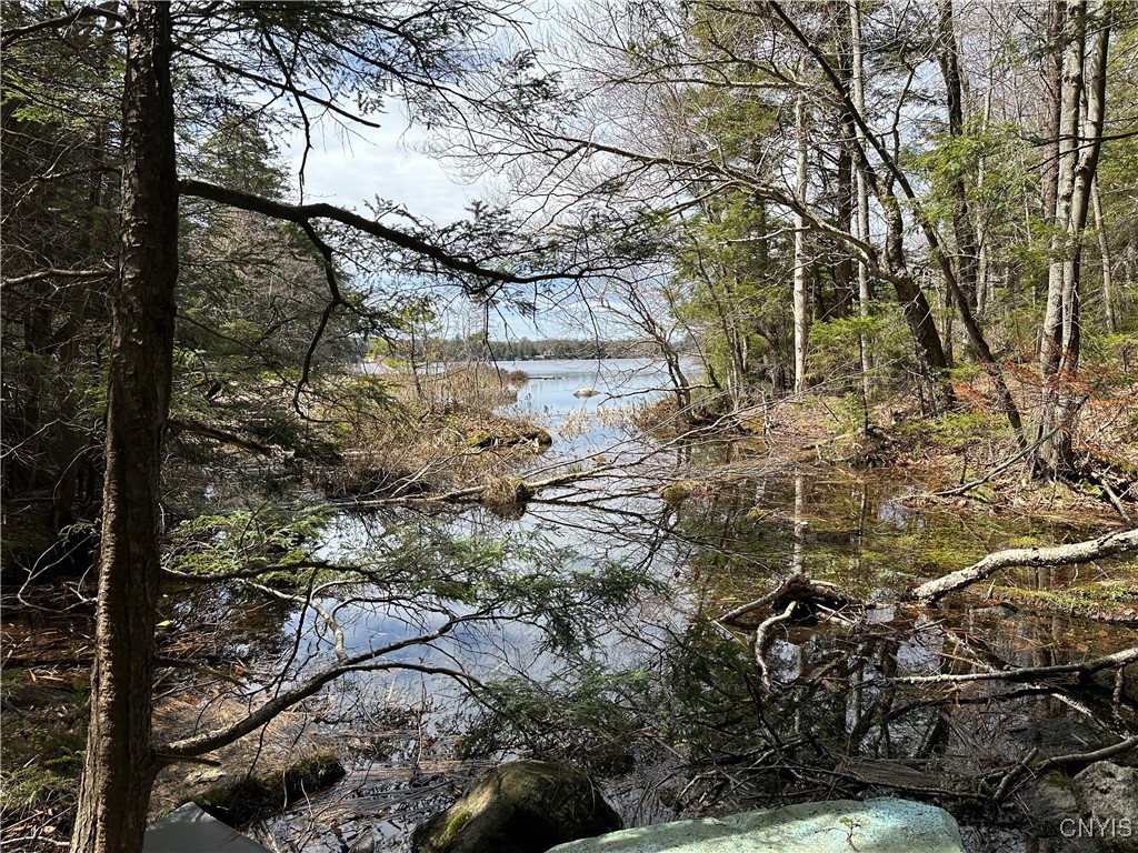 E Shore Rd, Stratford, New York image 29