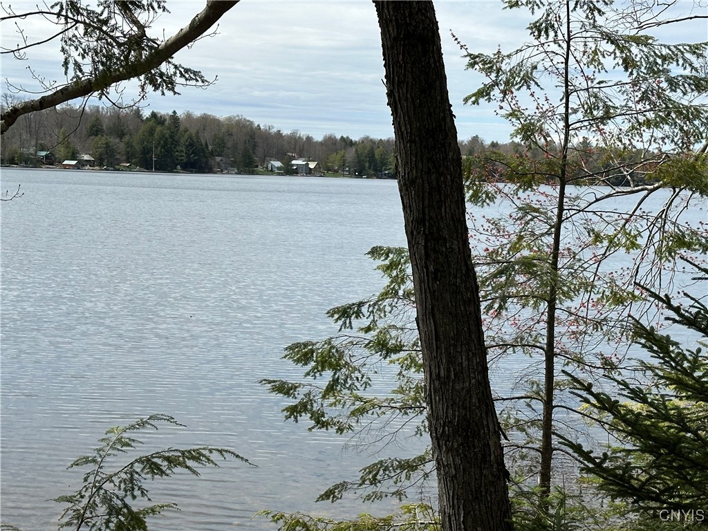 E Shore Rd, Stratford, New York image 2