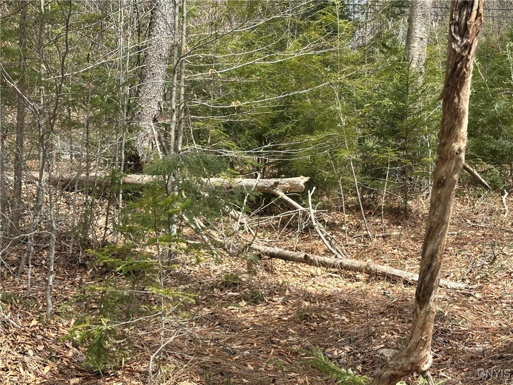 E Shore Rd, Stratford, New York image 12