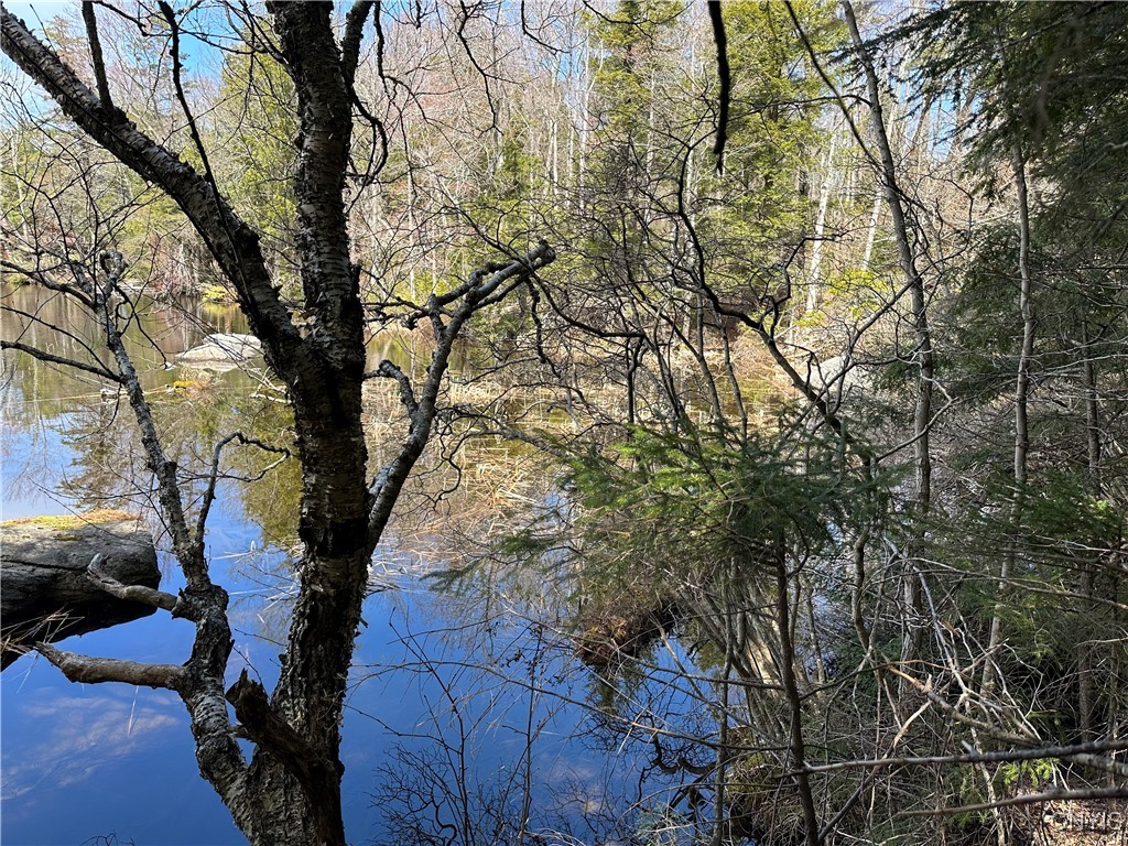 E Shore Rd, Stratford, New York image 21