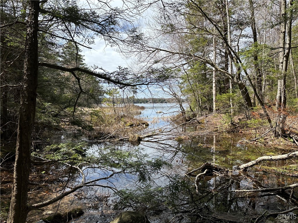 E Shore Rd, Stratford, New York image 31