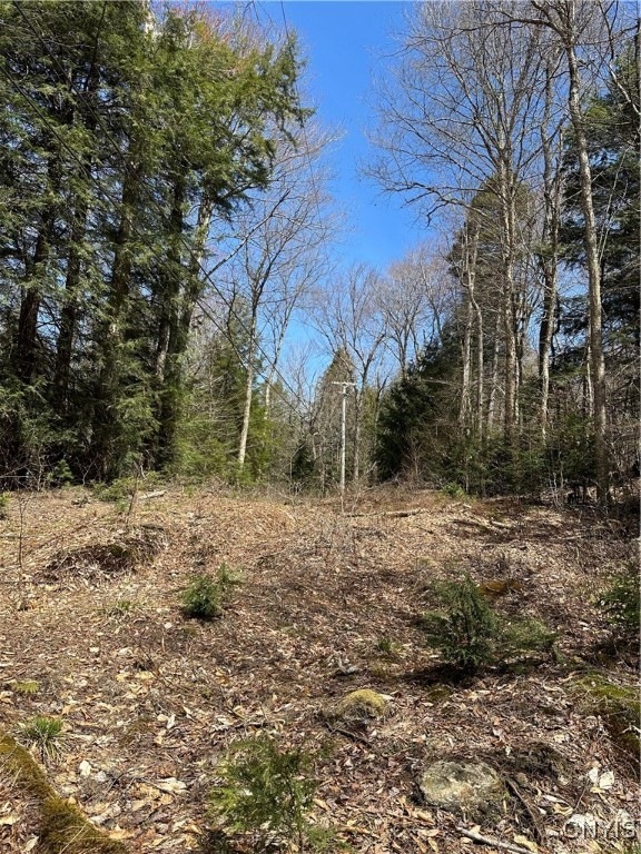 E Shore Rd, Stratford, New York image 6