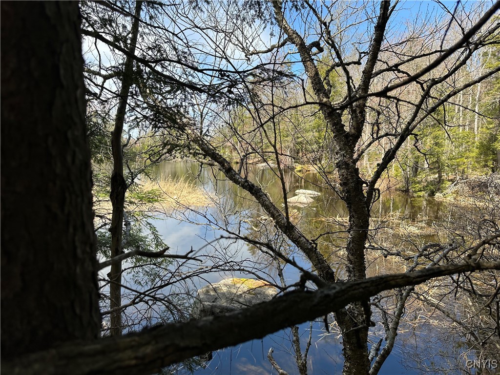 E Shore Rd, Stratford, New York image 23