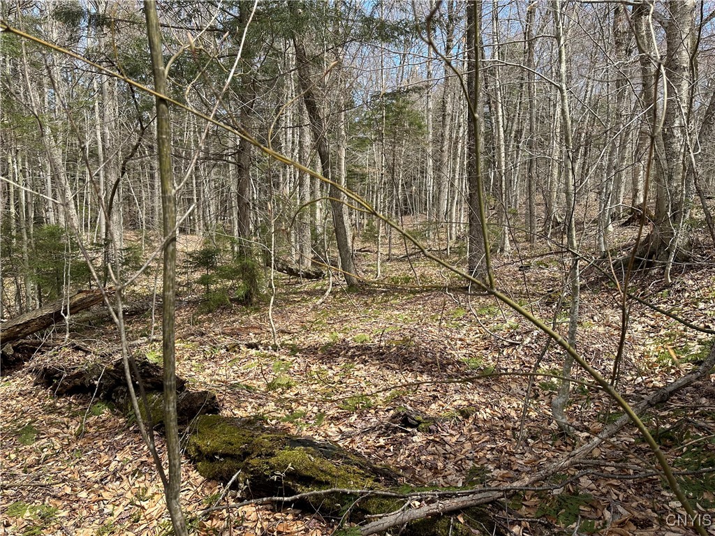E Shore Rd, Stratford, New York image 39