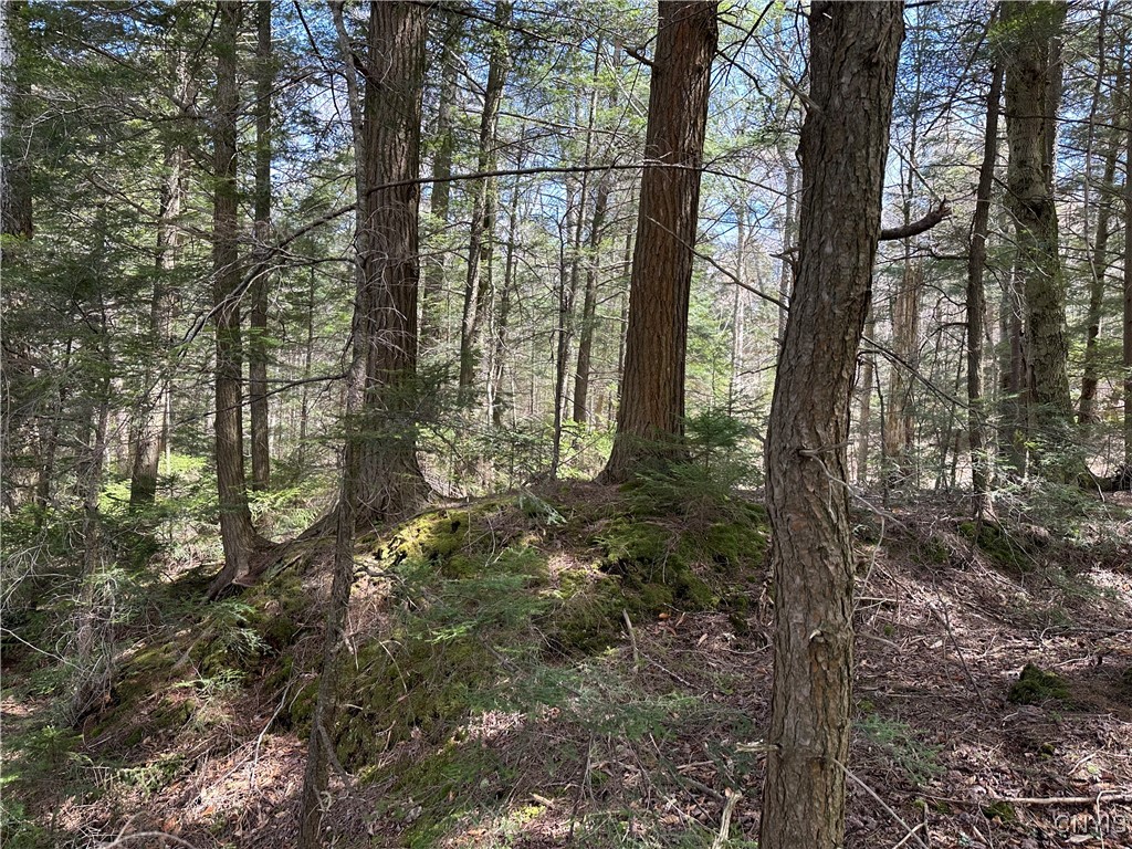E Shore Rd, Stratford, New York image 25