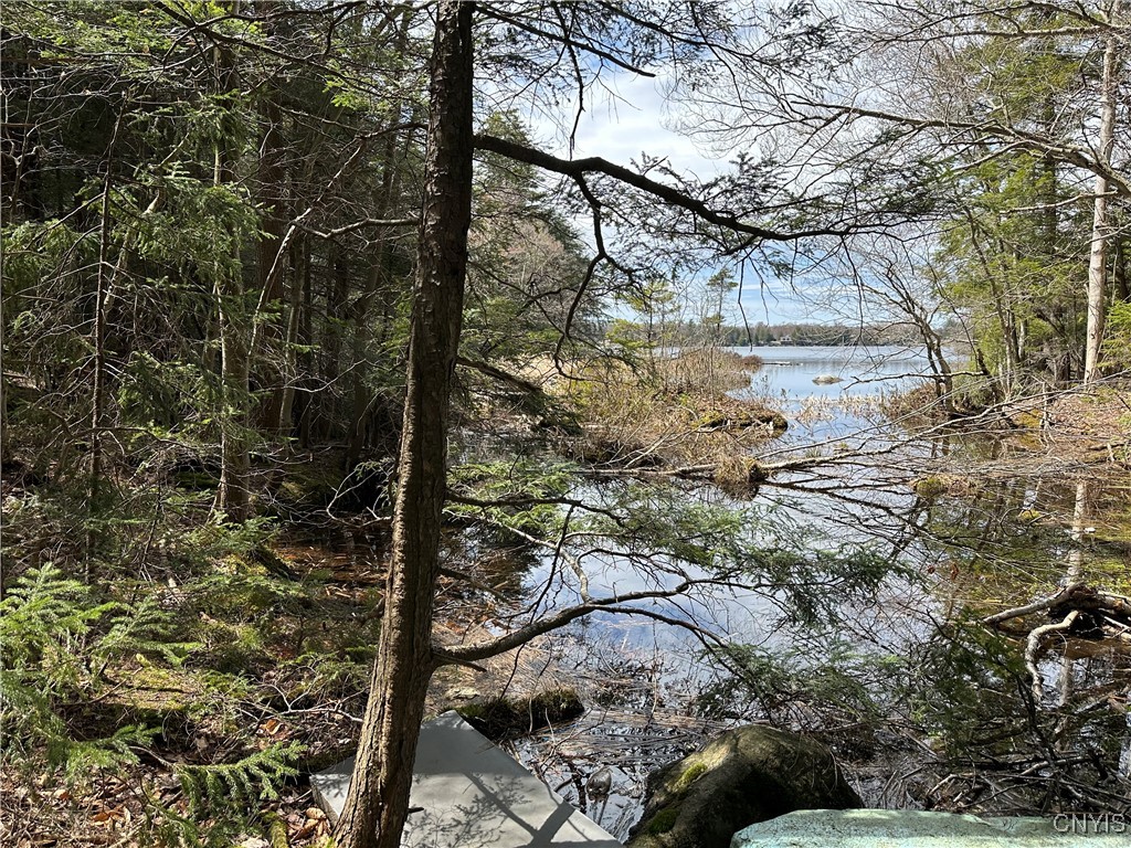 E Shore Rd, Stratford, New York image 33