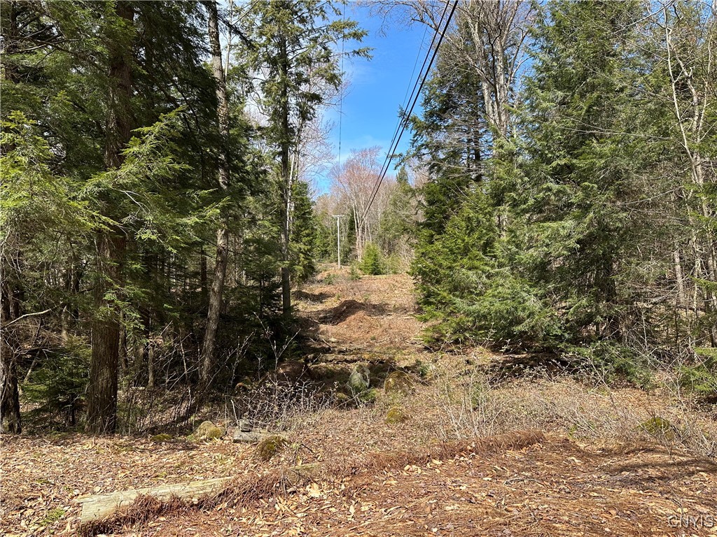 E Shore Rd, Stratford, New York image 34