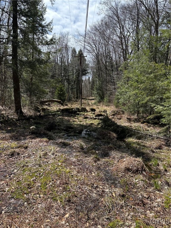 E Shore Rd, Stratford, New York image 7