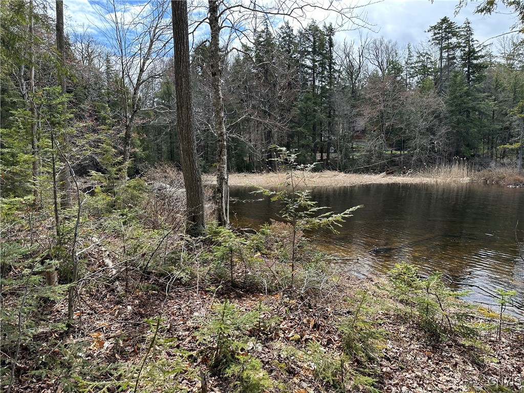 E Shore Rd, Stratford, New York image 11