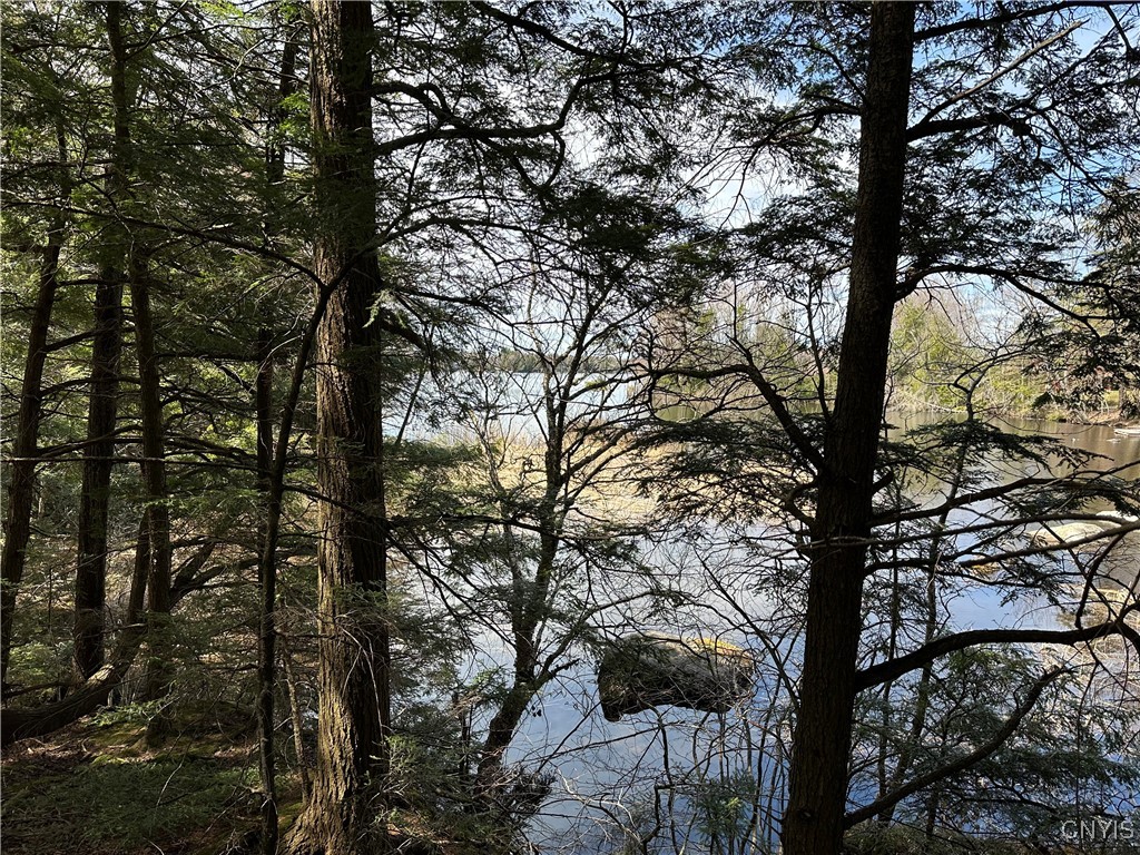 E Shore Rd, Stratford, New York image 5