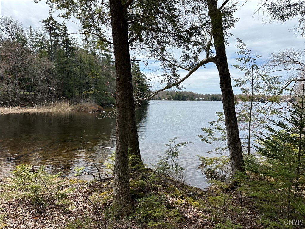 E Shore Rd, Stratford, New York image 1