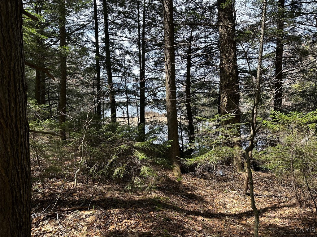 E Shore Rd, Stratford, New York image 27