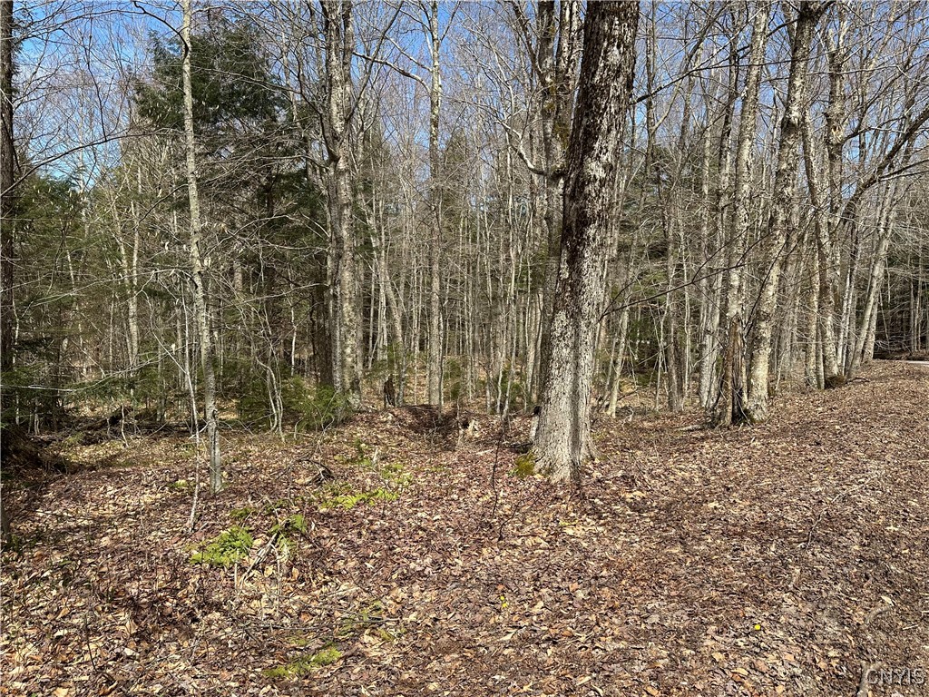 E Shore Rd, Stratford, New York image 40
