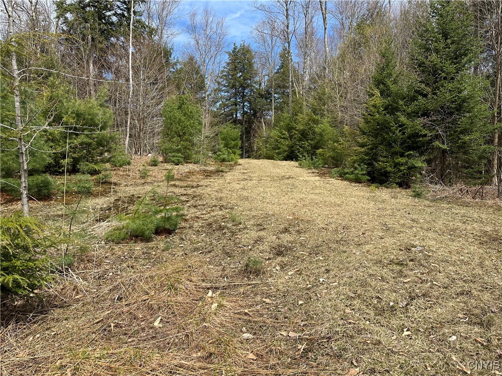 E Shore Rd, Stratford, New York image 13