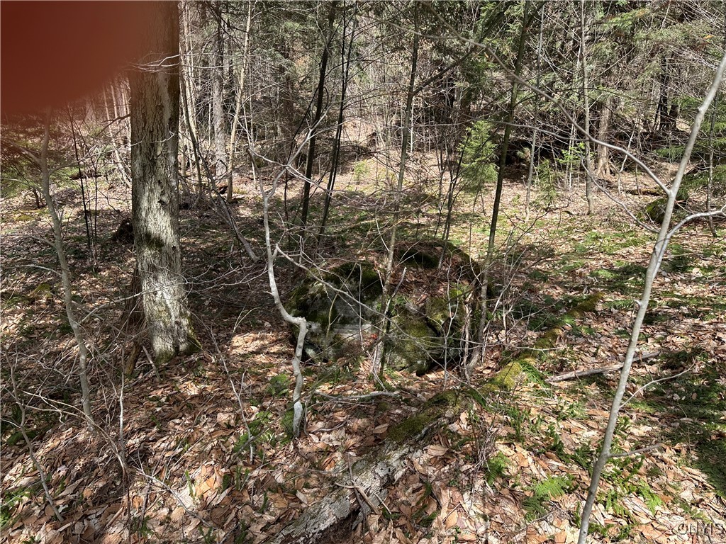 E Shore Rd, Stratford, New York image 36