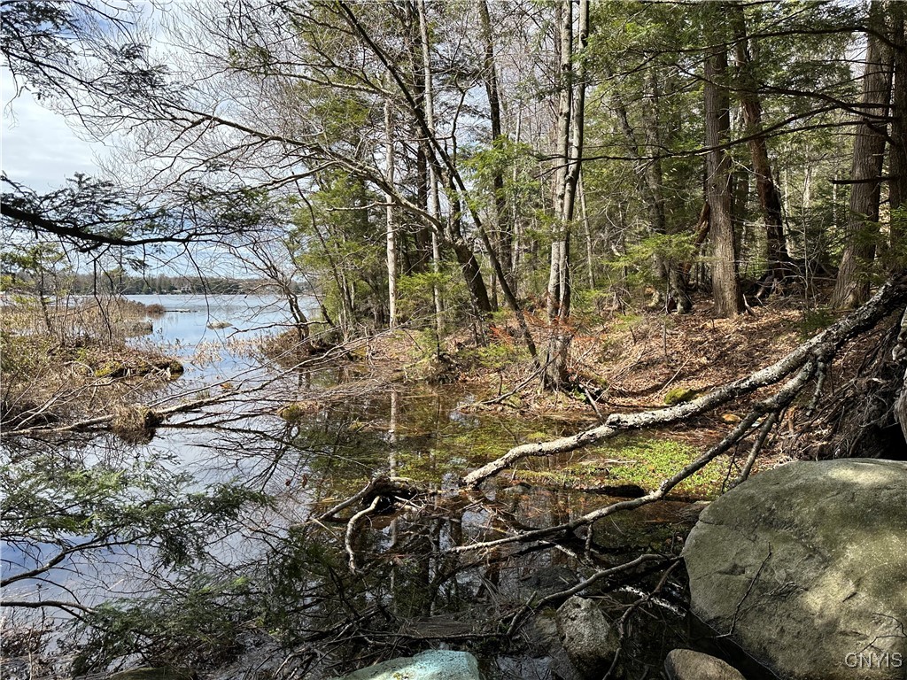 E Shore Rd, Stratford, New York image 32