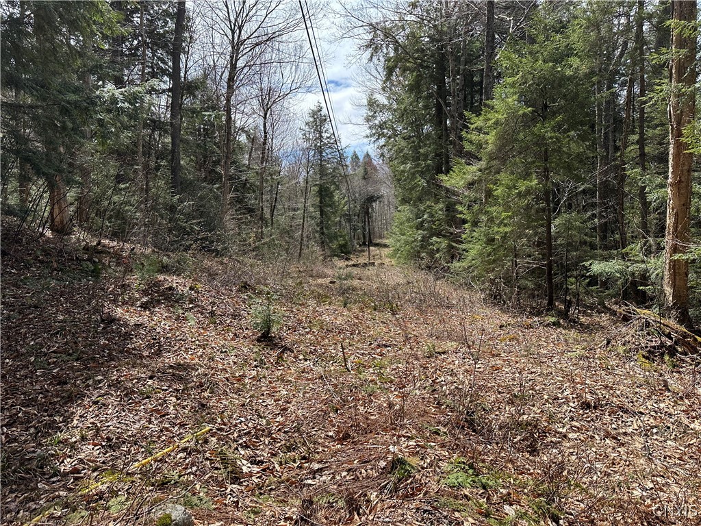 E Shore Rd, Stratford, New York image 35
