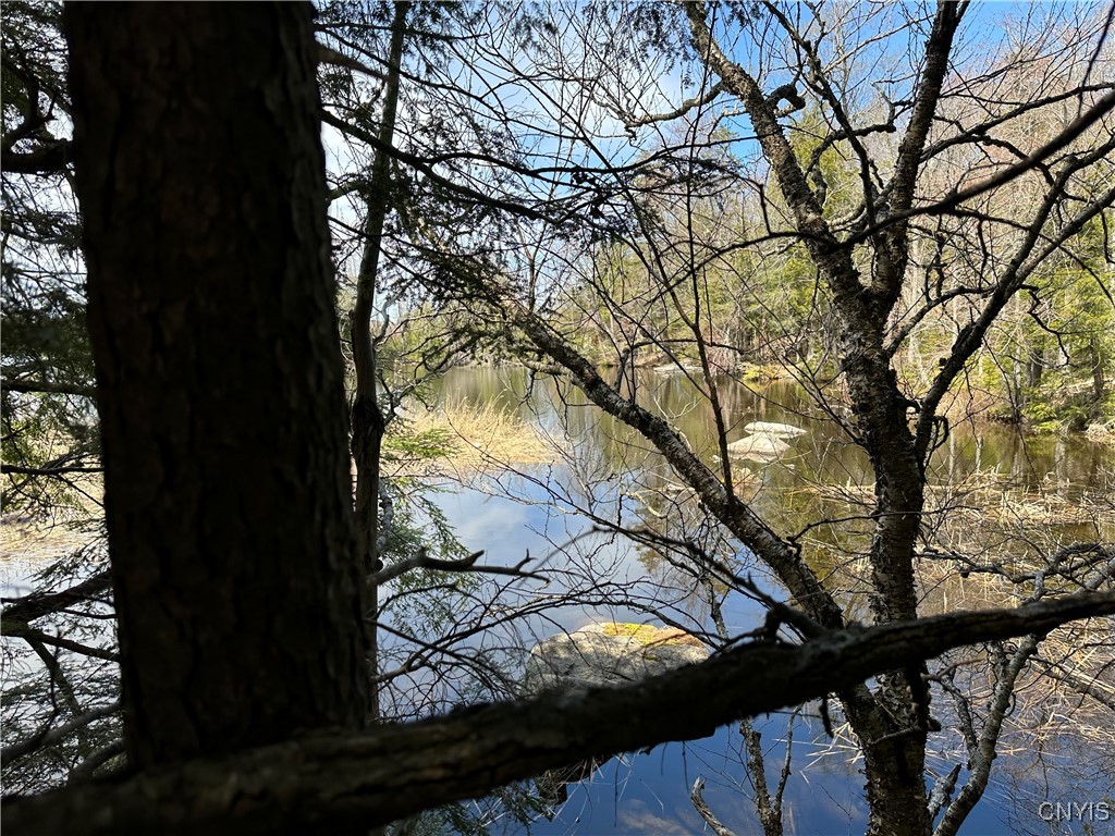 E Shore Rd, Stratford, New York image 19
