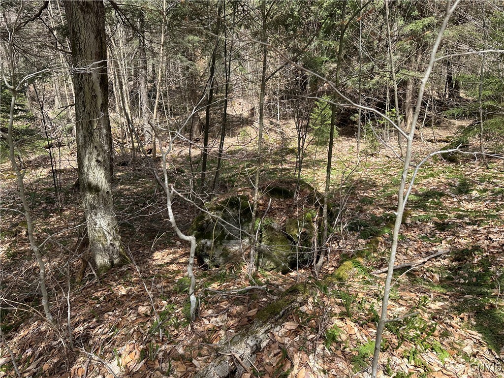 E Shore Rd, Stratford, New York image 37