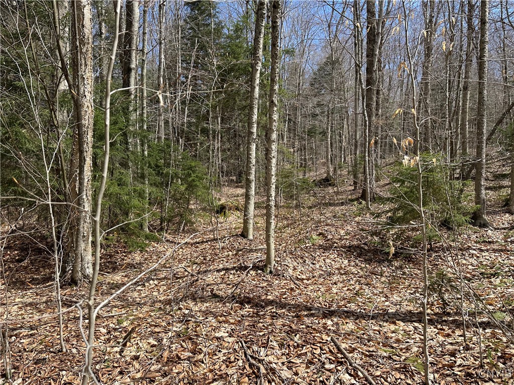 E Shore Rd, Stratford, New York image 38