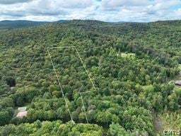 Vacant Land For Sale - 41 S Shore Road<br/> Inlet, NY 13360