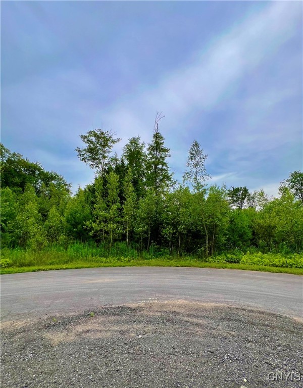 Lot 9 Forest Ridge Drive