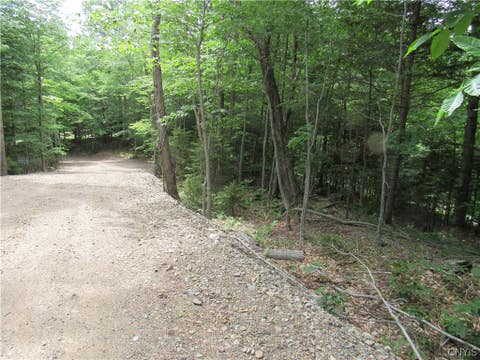 Tiny photo for Palisades Road, Webb, NY 13420 (MLS # S1692214)