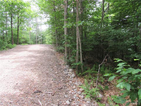 Tiny photo for Palisades Road, Webb, NY 13420 (MLS # S1692214)
